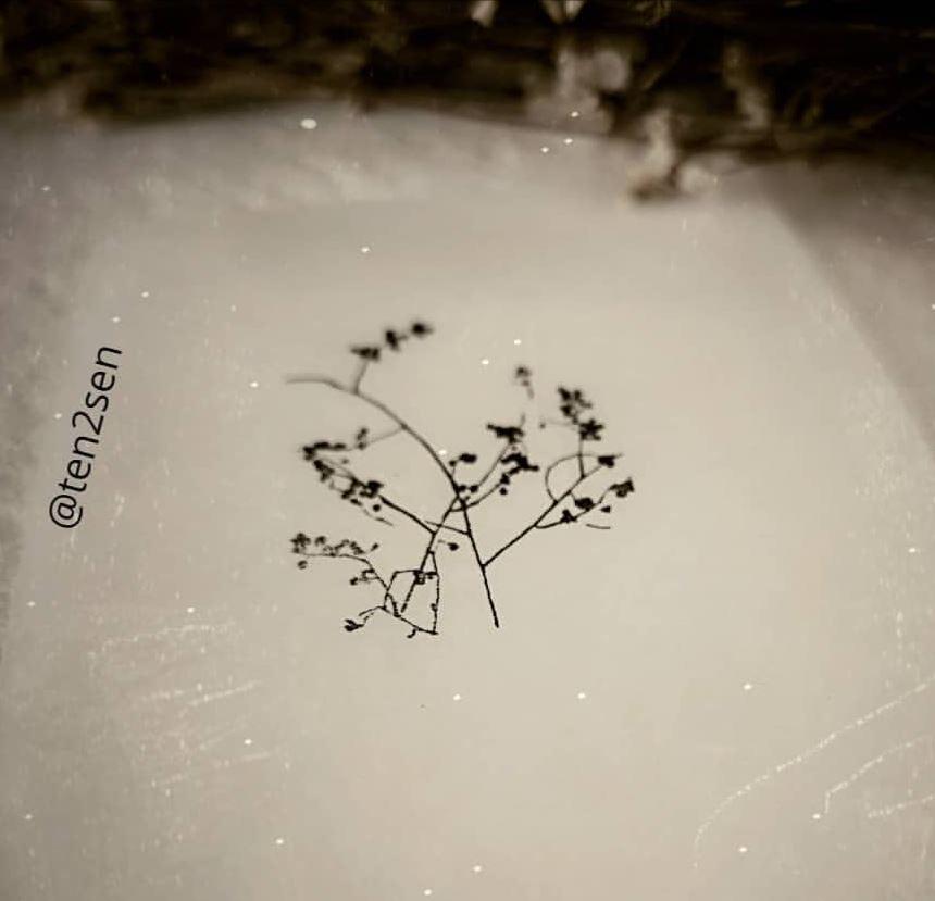 ten2sen - Fleur Collection Wooden Stamps - Happiness Idea